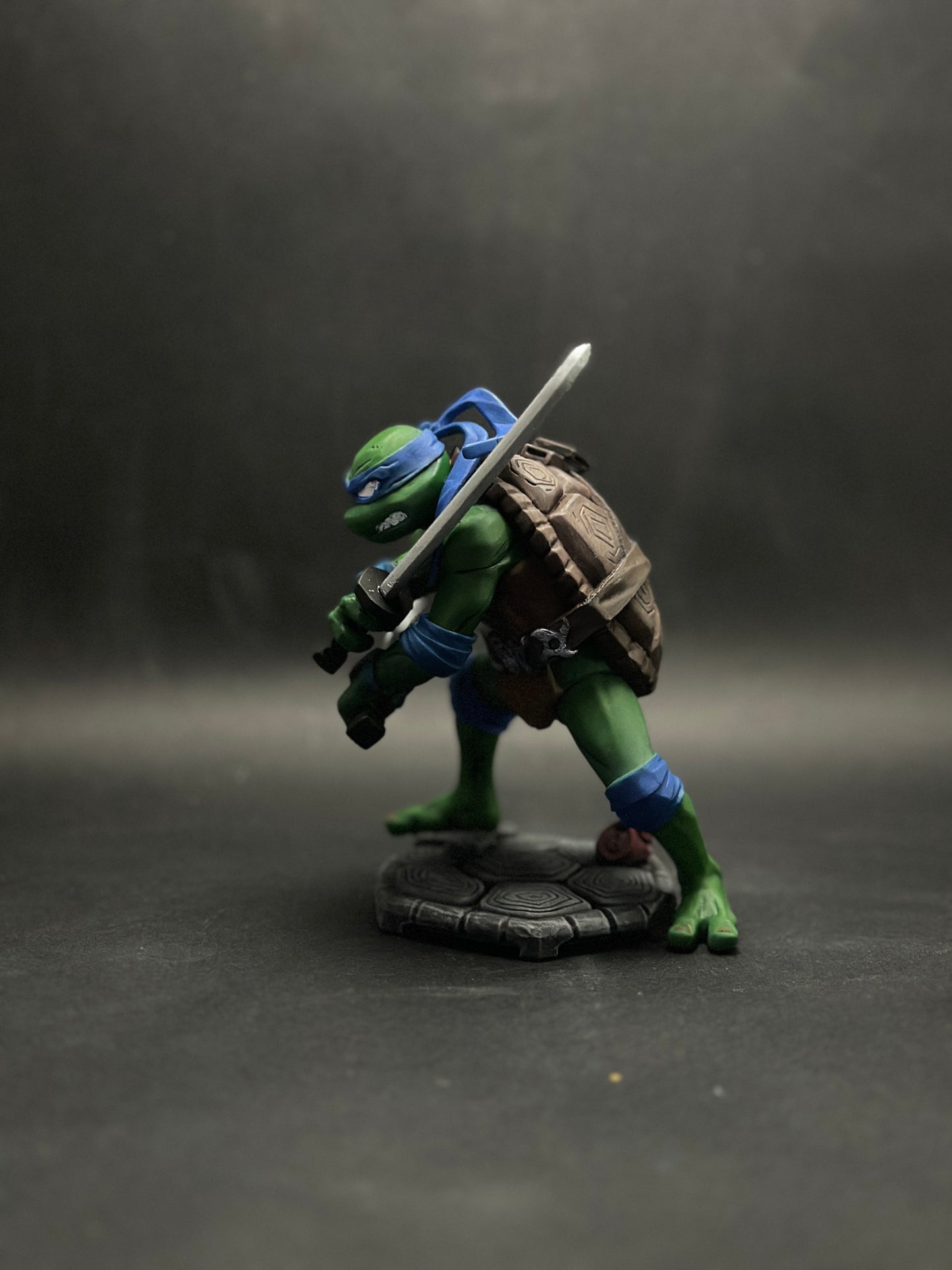 TMNT Animated - Leonardo